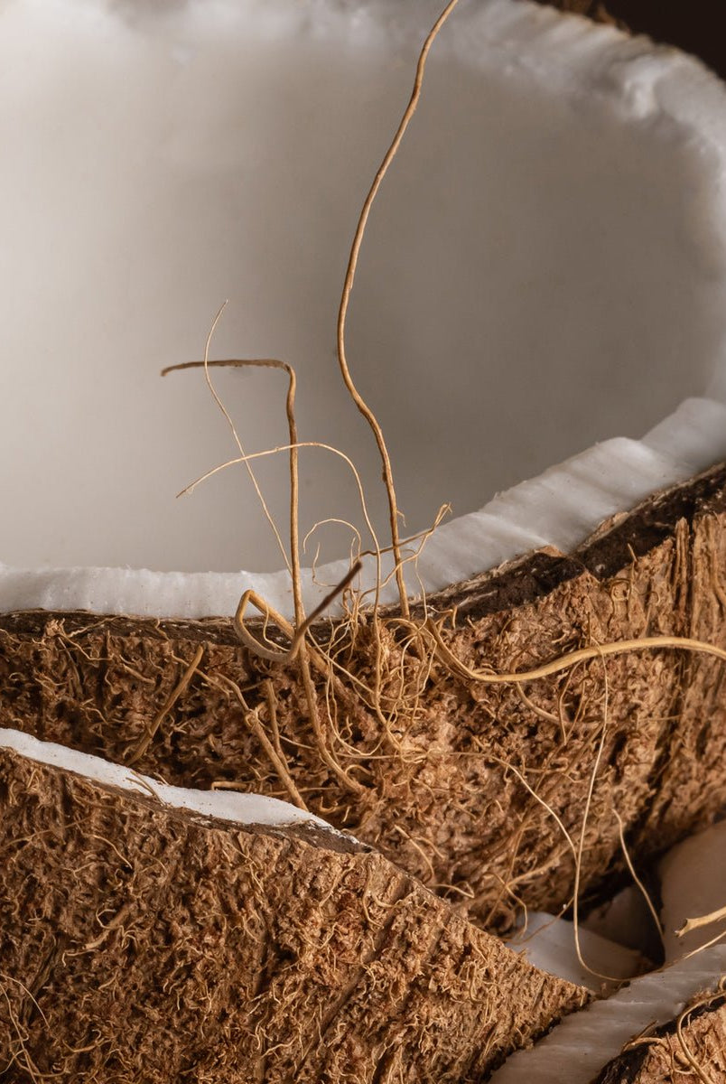 Coconut Calm - Uptown Boutique Ramona
